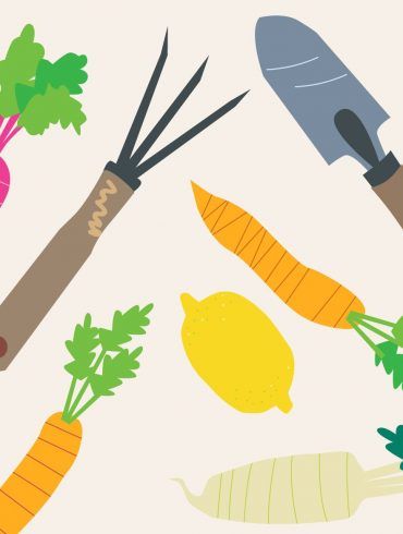 Alt= vegetables allotment