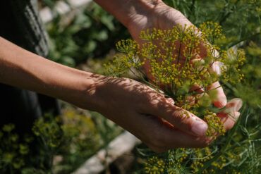 alt= women hand in the garden with flowers