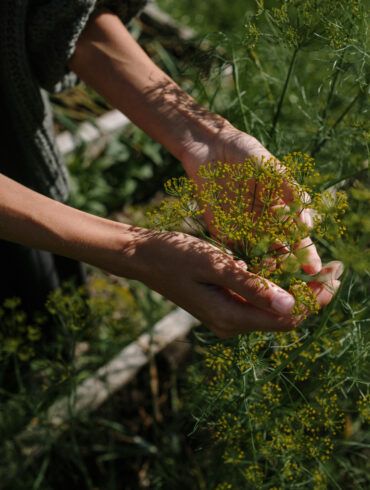 alt= women hand in the garden with flowers