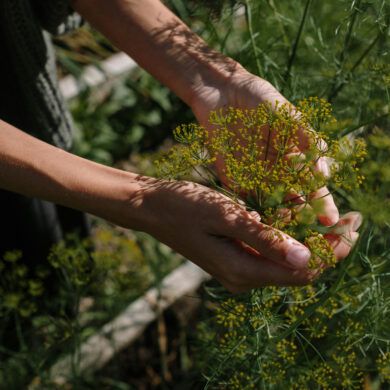 alt= women hand in the garden with flowers